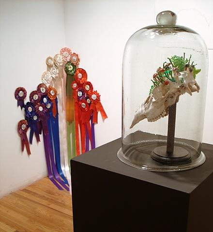 'Relic from Wunderkammer' facing 'Selection: 23 Endangered Species' 
