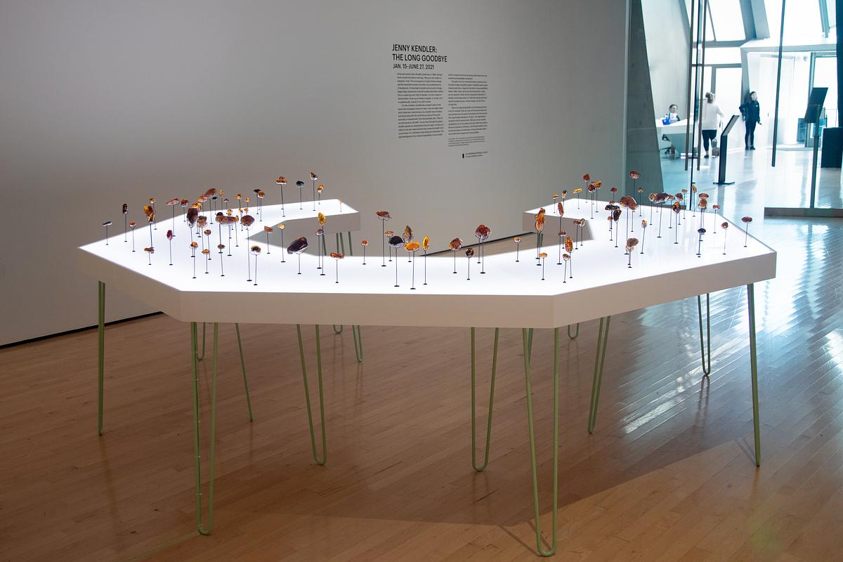 Amber Archive installed at the MSU Broad as part of "Jenny Kendler: The Long Goodbye"