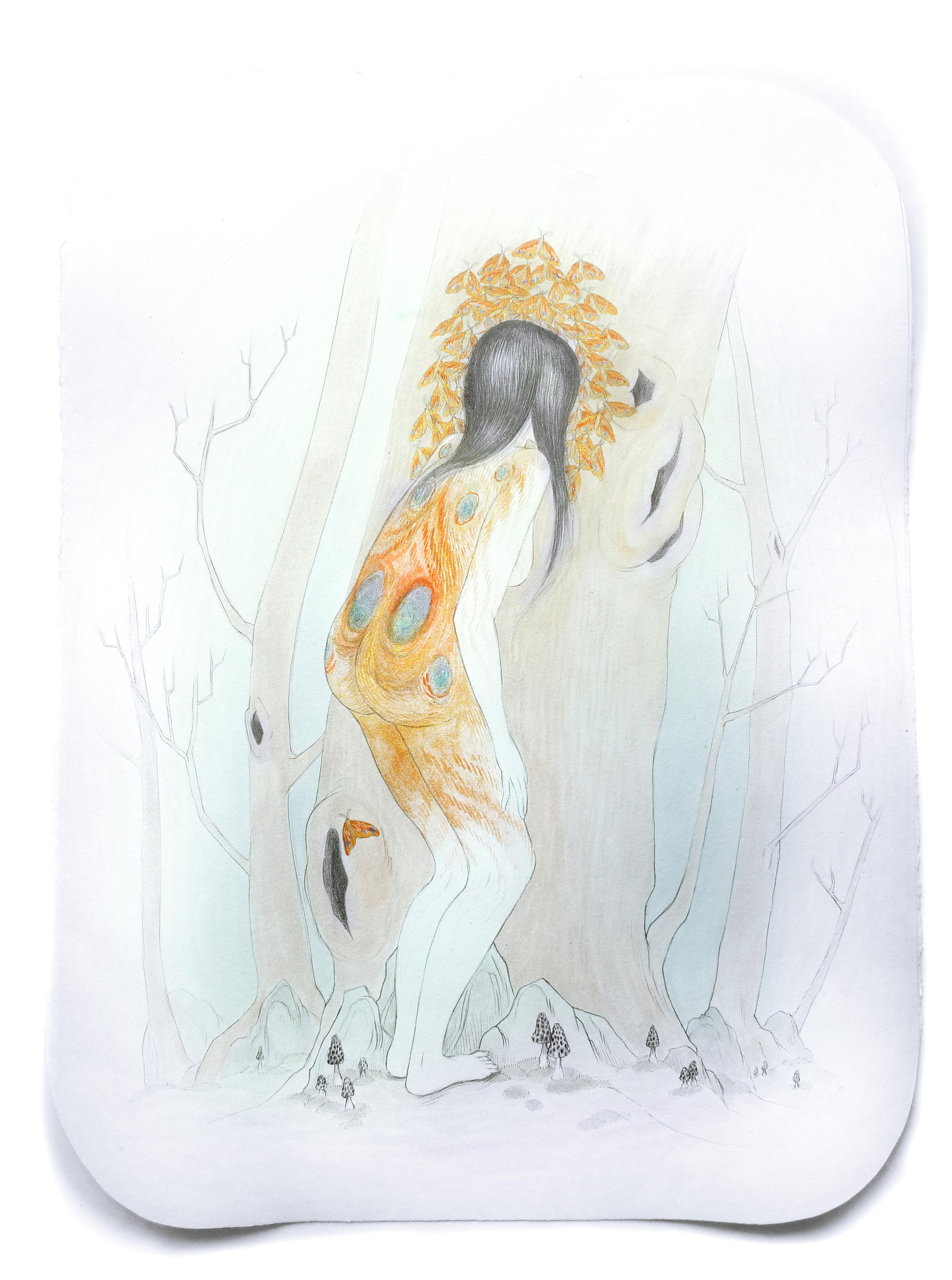 Biomimicry (Desire to Belong)
