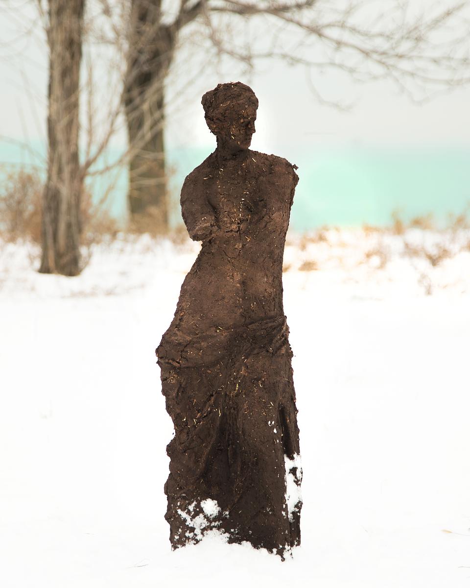 Sculpture--->Garden (Venus III) 