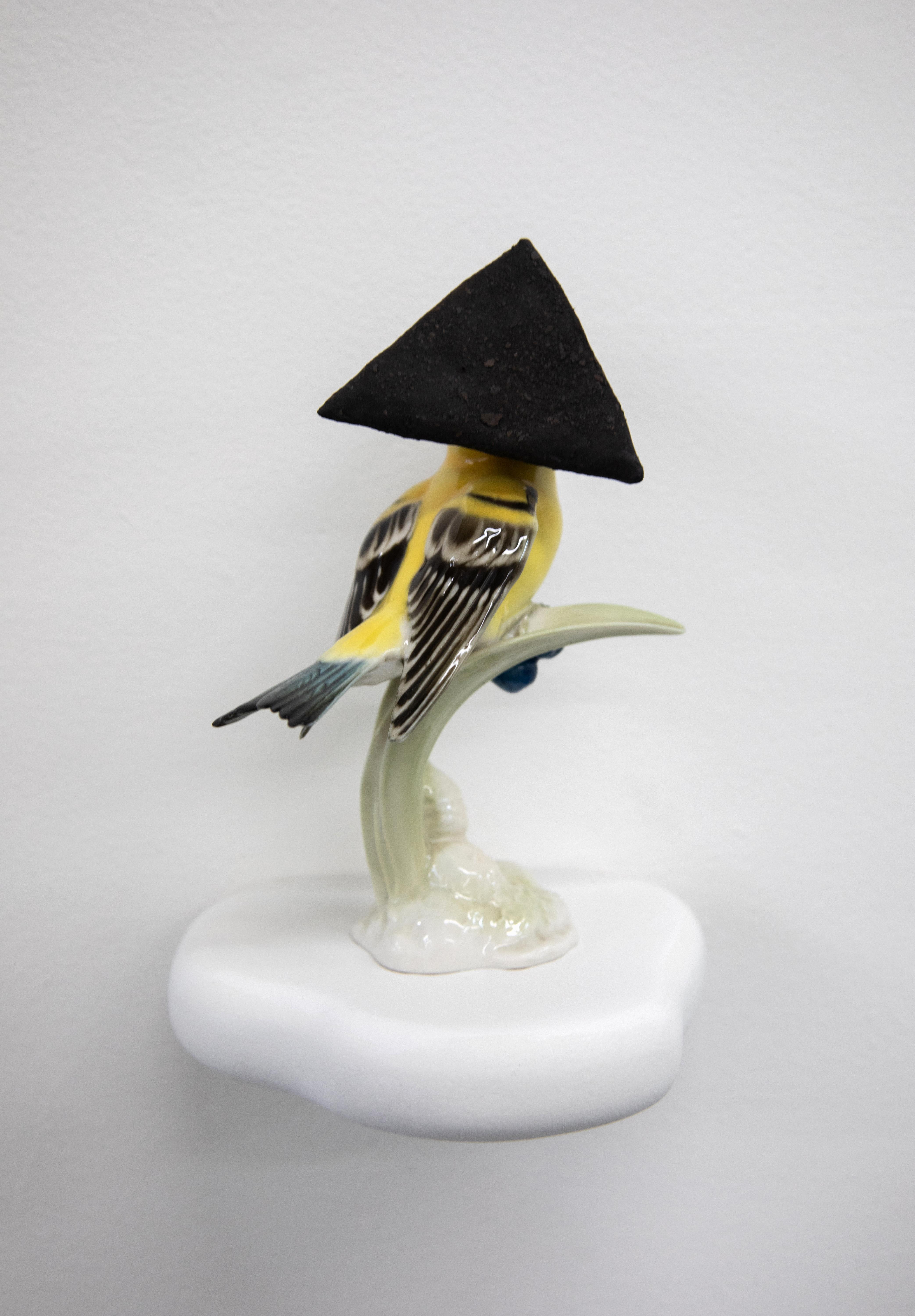 Camouflage LIII (Memorial for American Goldfinches II)