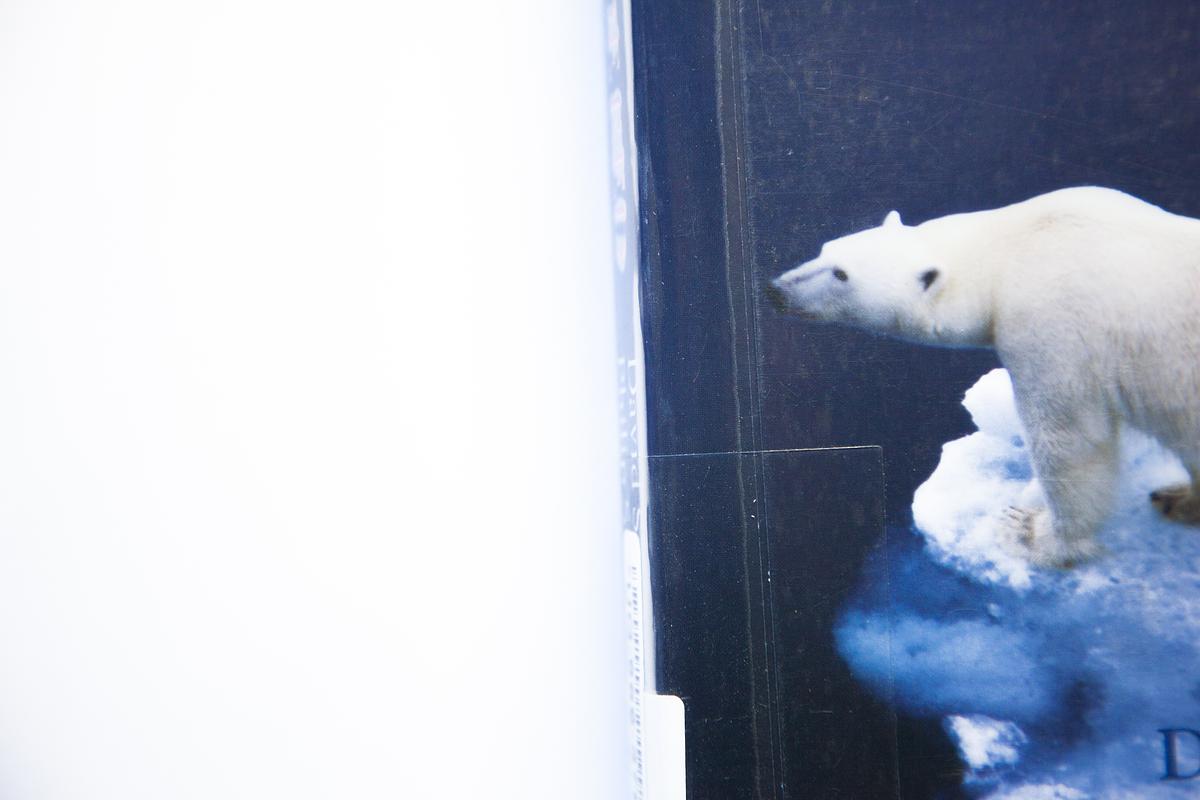 Climate Code Red: The Case for Emergency Action, 2009
