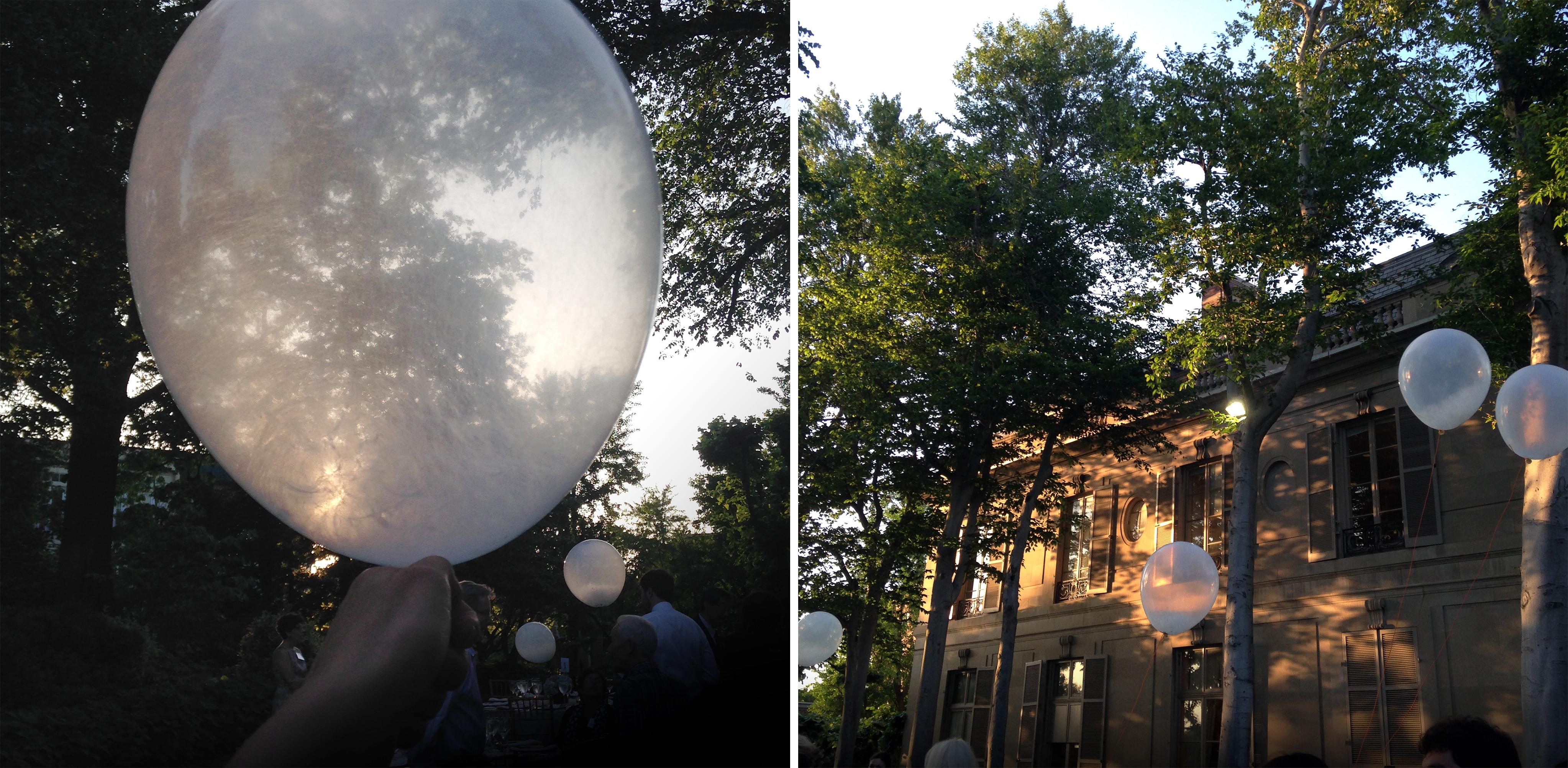 Milkweed Dispersal Balloons in Washington, DC