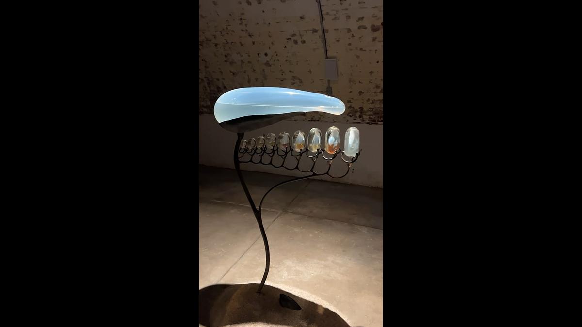 Sperm Whale Instrument (Part I) & (Part II, Click Track)