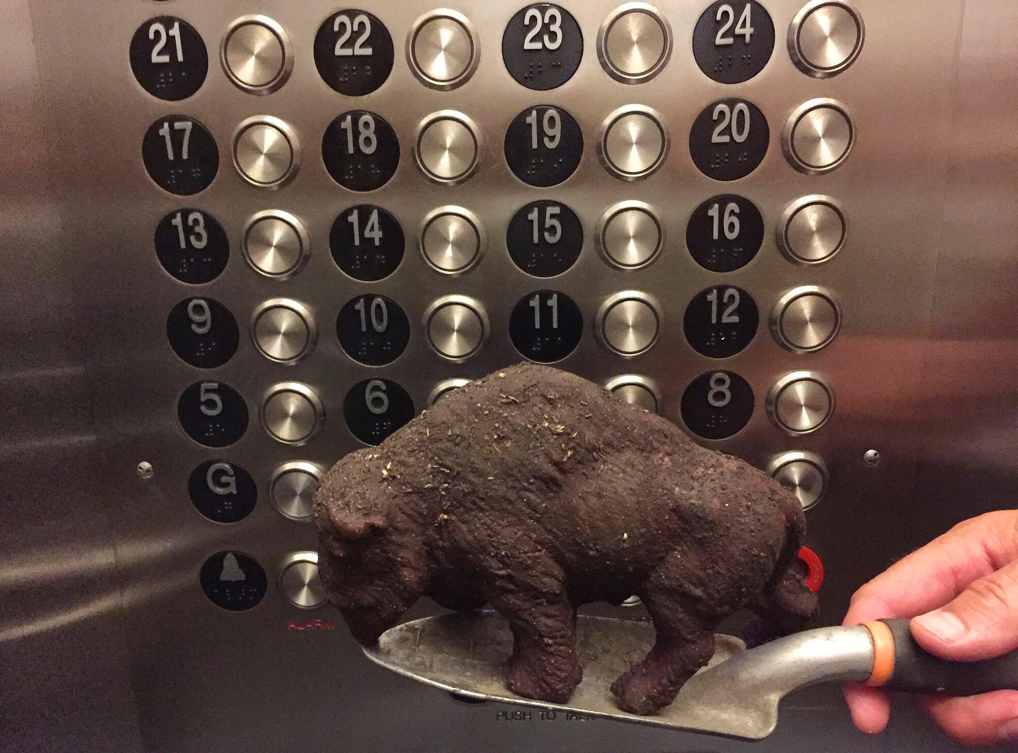 Adopted biodegradable bison on its way to be placed in a nearby neighborhood greenspace by Kathy Trumbull Fimreite