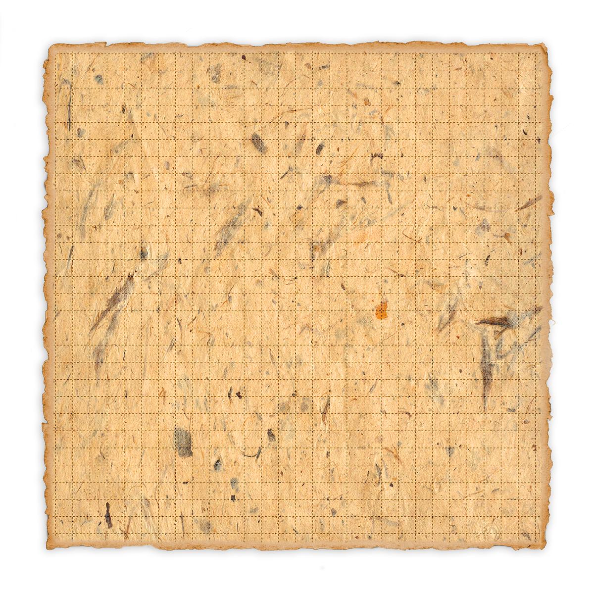 Wild Blotter #1