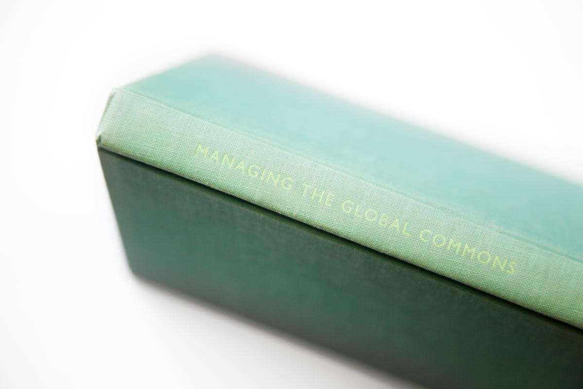 Managing the Global Commons: The Economics of Climate Change, 1994
