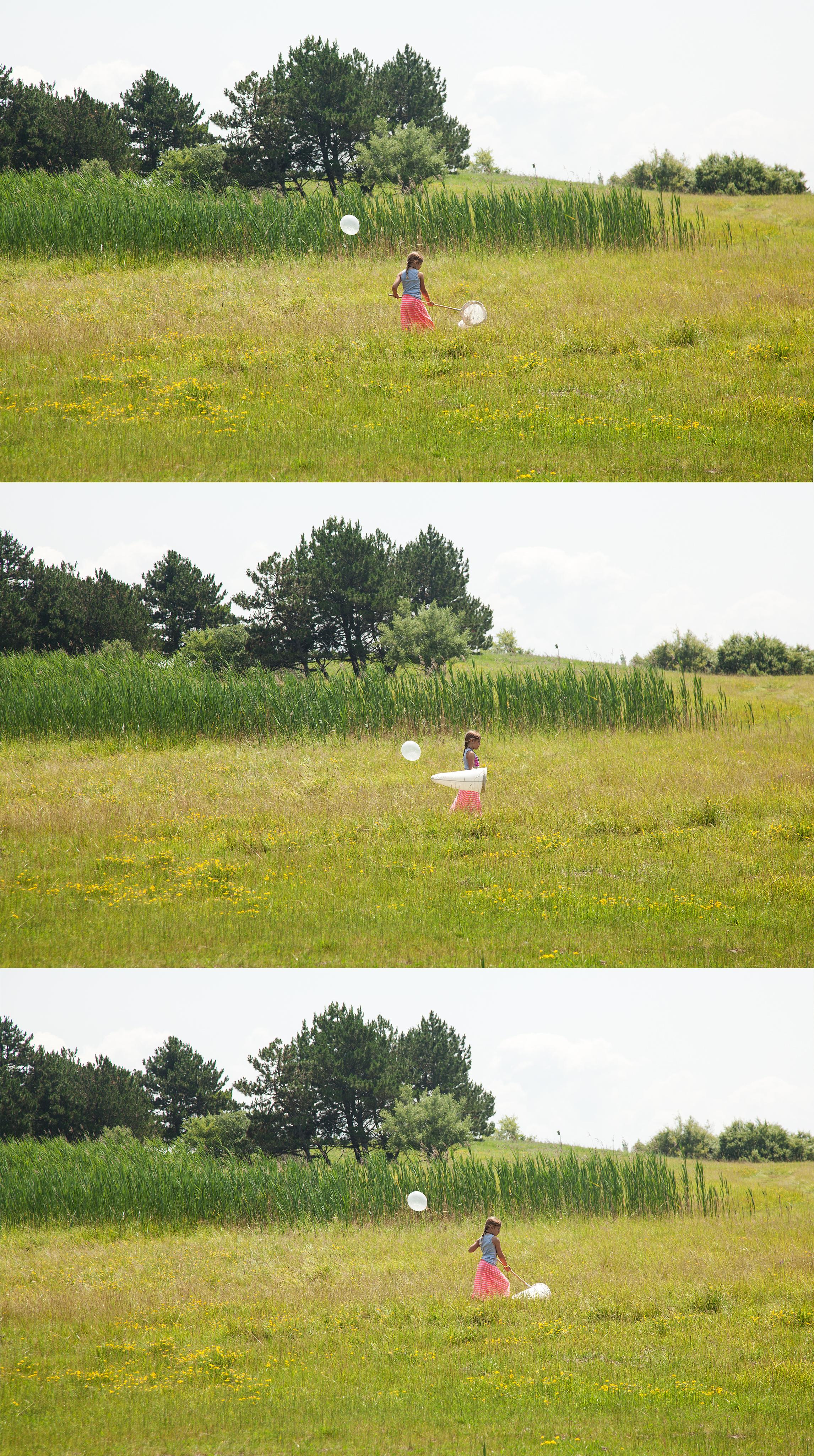 Milkweed Dispersal Balloons at the Tifft Nature Preserve