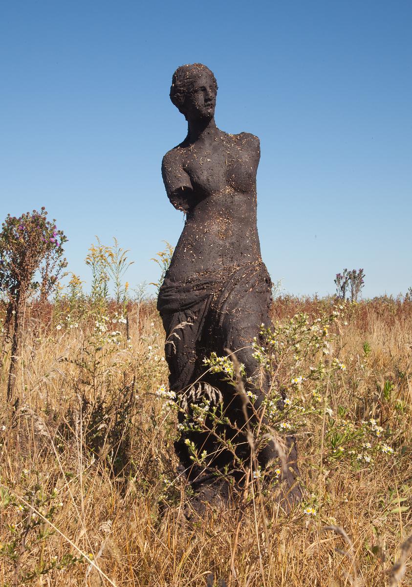 Sculpture--->Garden (Venus XI)