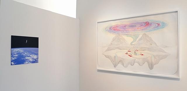 Installation view of 'Narwhal, Spacewalk' & 'Sanctuary (Narwhals)' Installation view of 'Narwhal, Spacewalk' & 'Sanctuary (Narwhals)'
