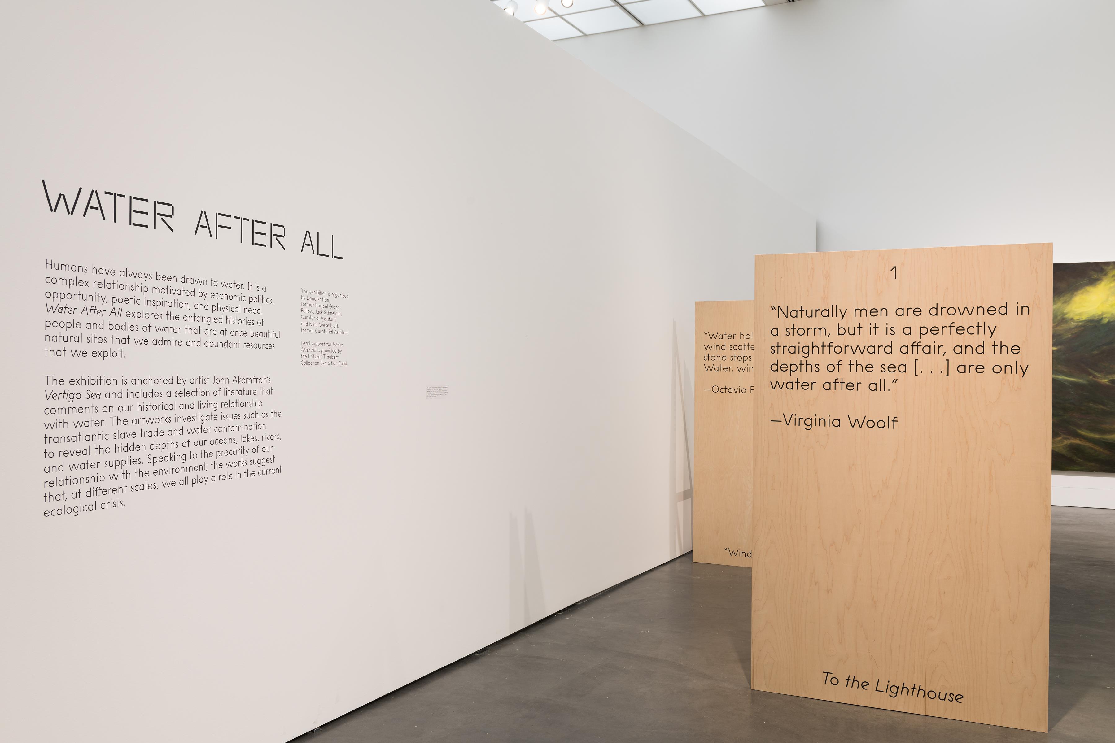 Water After All at the MCA Chicago