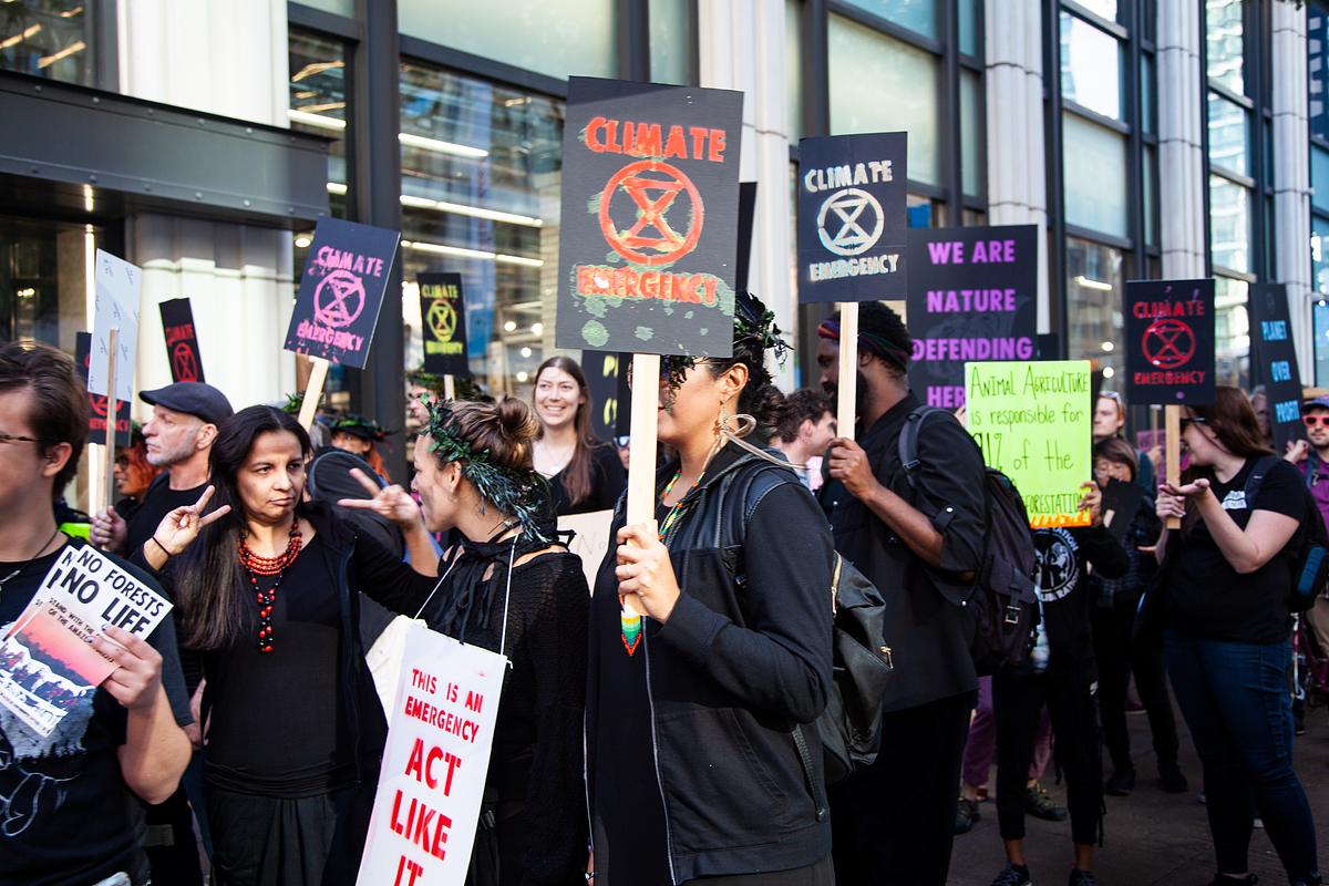 Sept 5th - No Forests, No Life - rally, march and action in solidarity with Amazonia