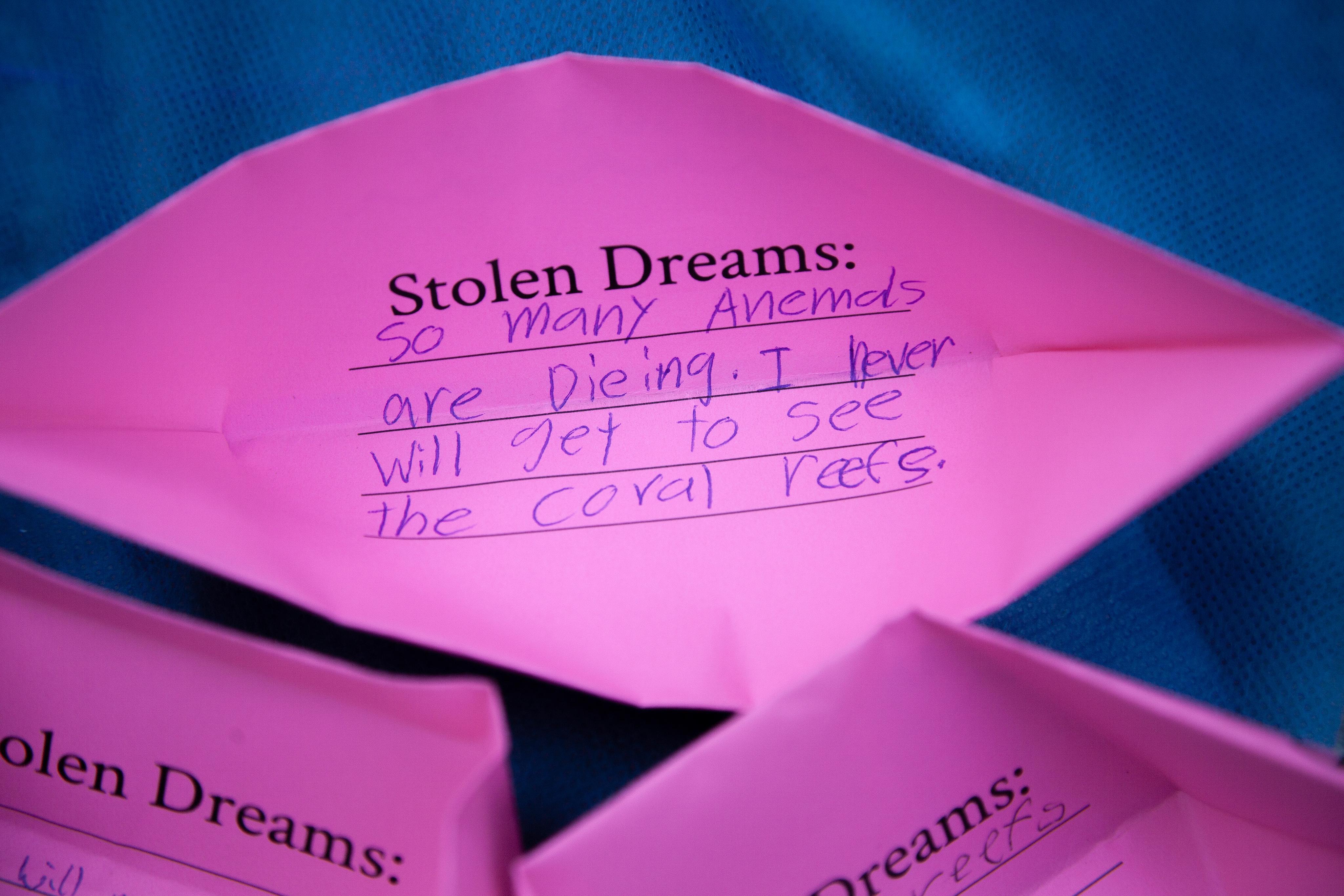 Oct 7th - Launch of the International Rebellion - Origami Boat Project