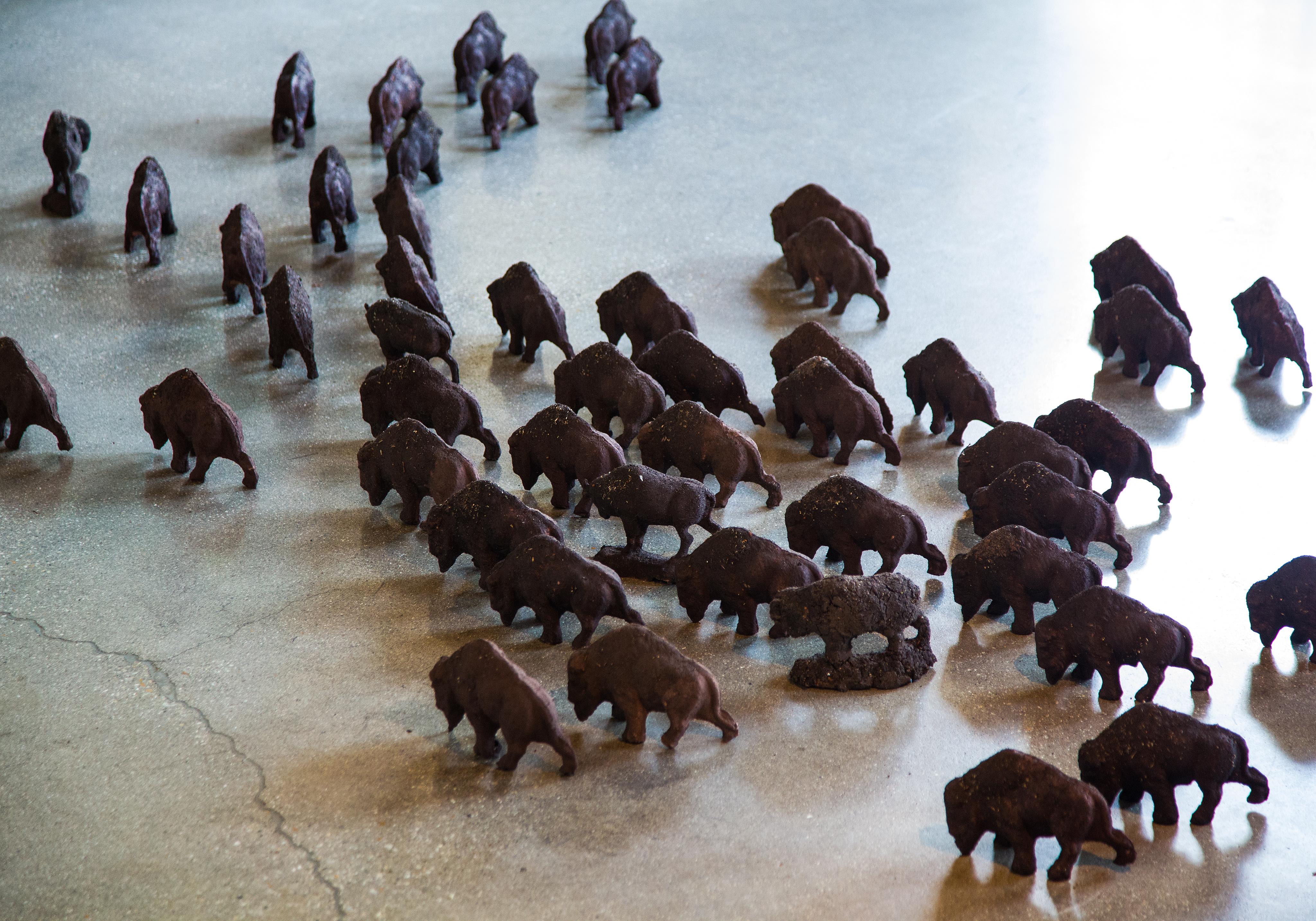 Herd Not Seen
