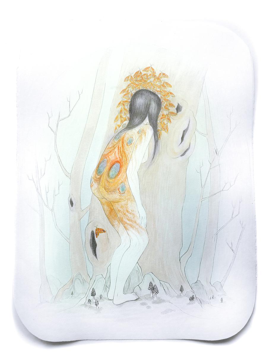 Biomimicry (Desire to Belong)