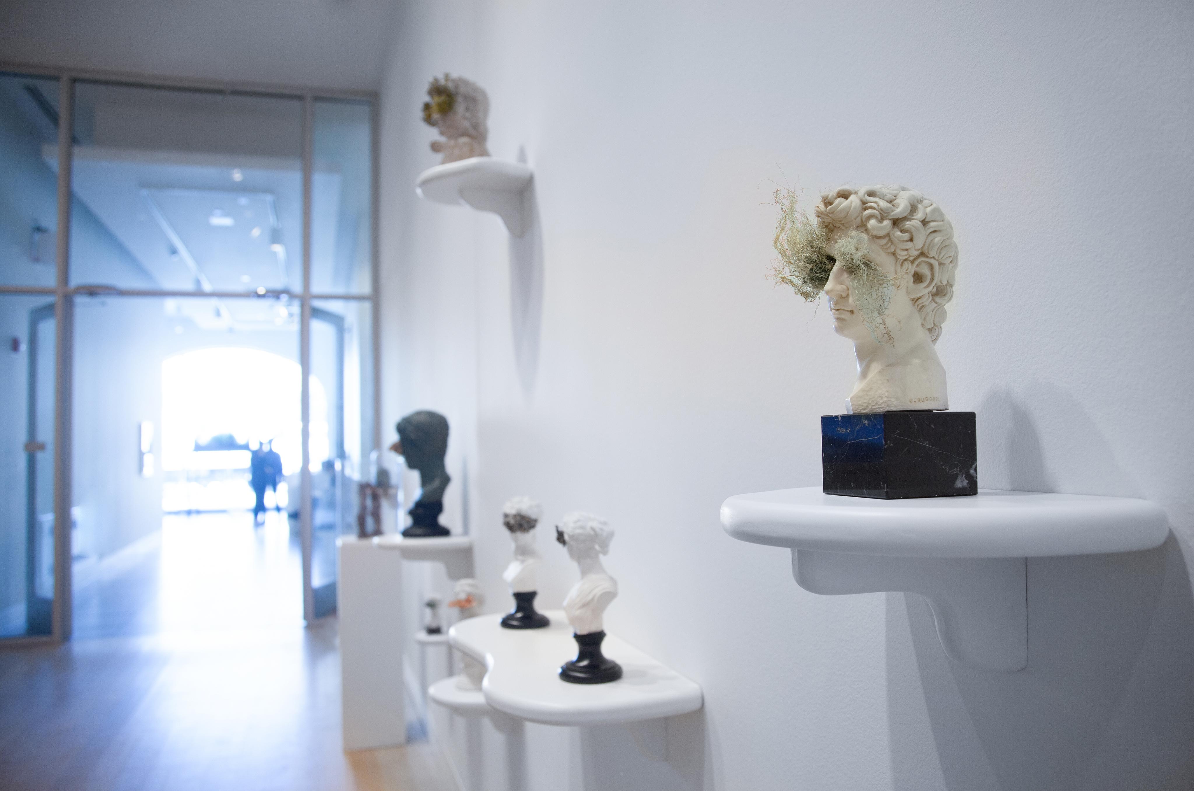 Works from the 'New Ways to See' series at the DePaul Art Museum