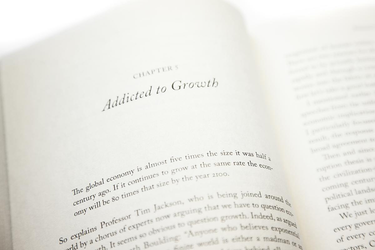 The Great Disruption: Why the Climate Crisis Will Bring On the End of Shopping and the Birth of a New World, 2011
