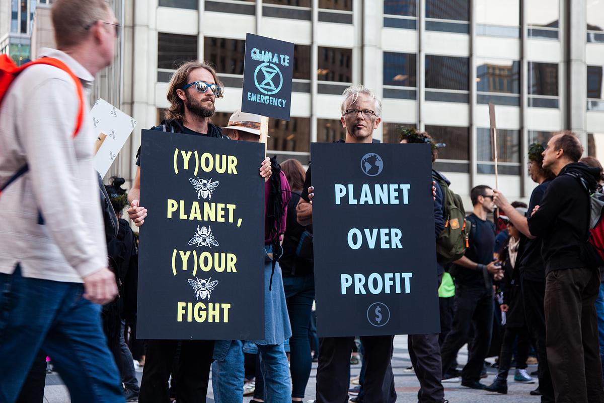 Sept 5th - No Forests, No Life - rally, march and action in solidarity with Amazonia