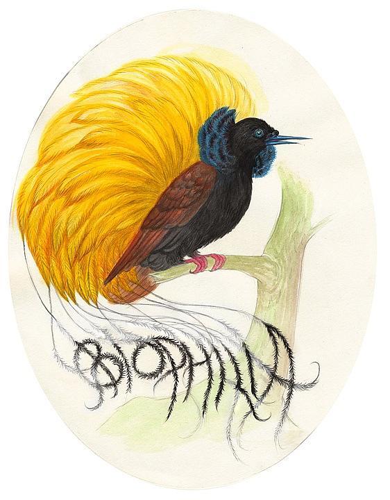 The Nebuleaux Showing its Finery (for E.O. Wilson)