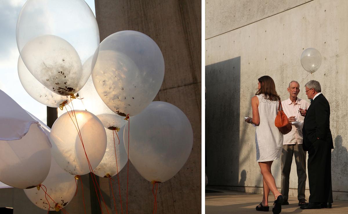 Milkweed Dispersal Balloons at the Pulitzer Arts Foundation