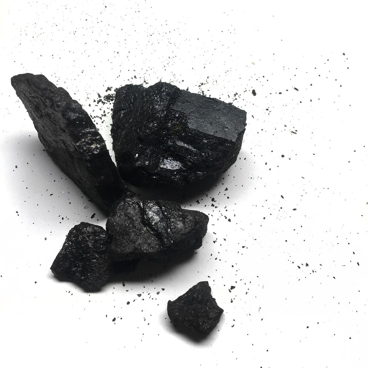 The exact weight in coal, from a former family member's mine, of the Bramble Cay Melomys (Melomys rubicola)the first species to officially be declared extinct due to climate change