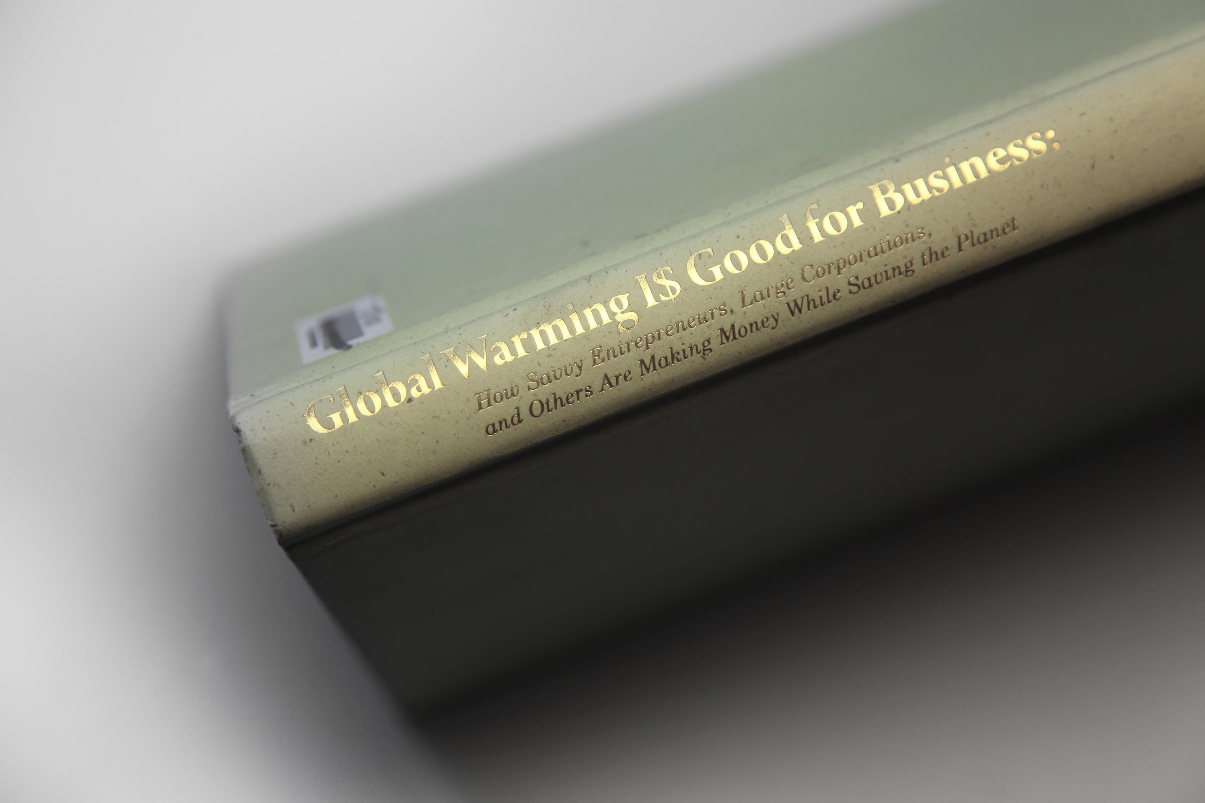 Global Warming Is Good for Business: How Savvy Entrepreneurs, Large Corporations, and Others Are Making Money While Saving the Planet, 2009
