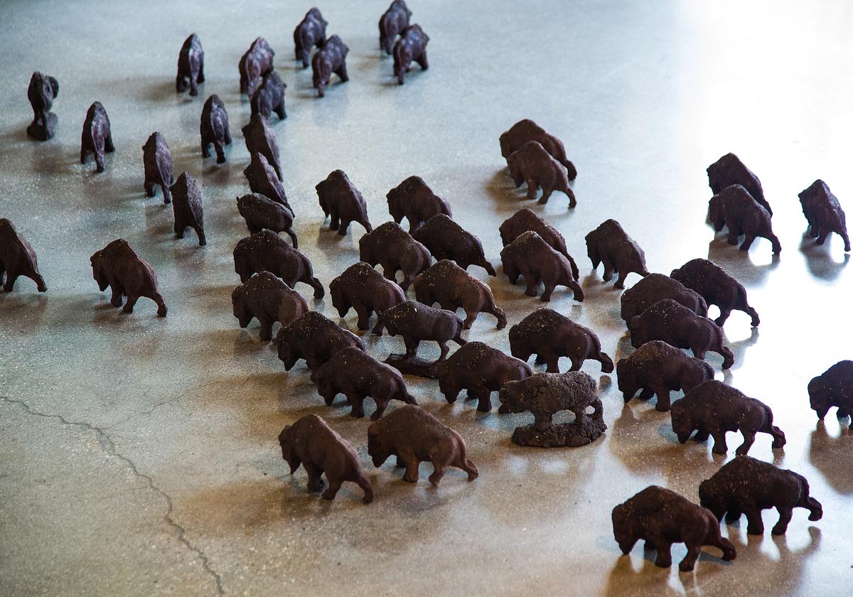 Herd Not Seen