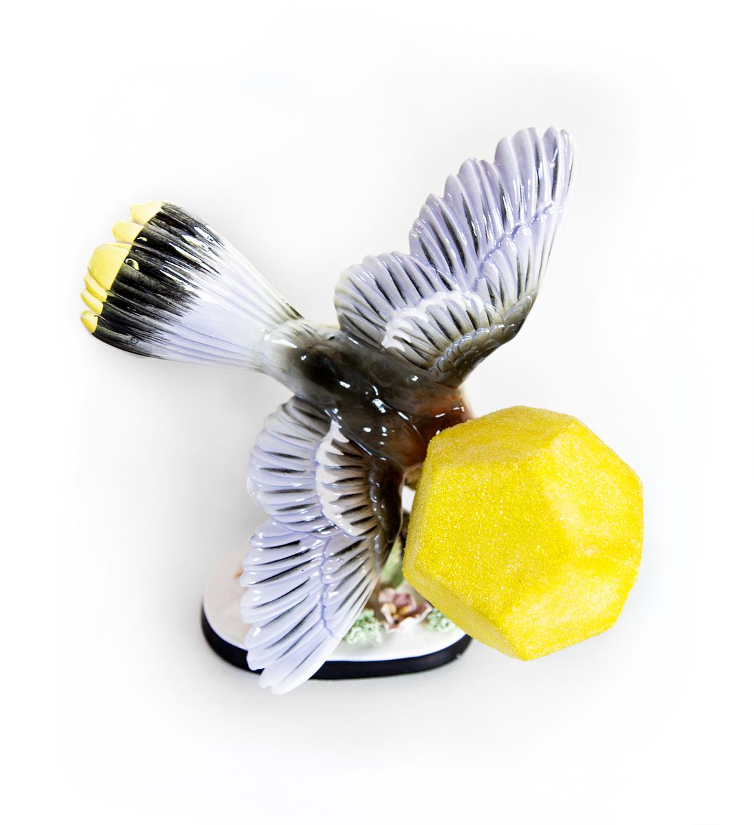 Camouflage XXXIX (Poacher Protection for the Bohemian Waxwing, disguised as the fictitious Bombycilla shadei, for Vladimir Nabokov)