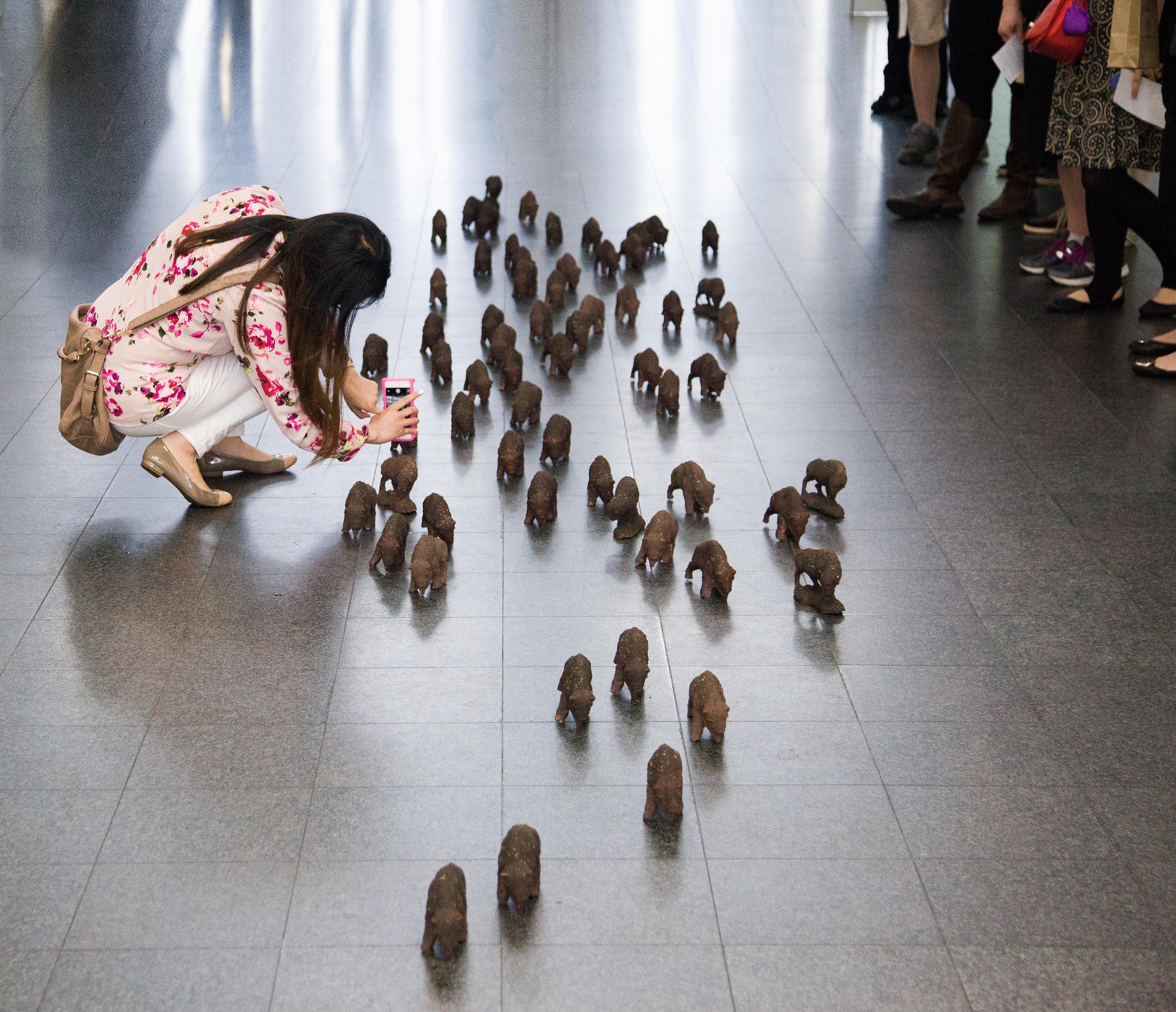Herd Not Seen at the MCA Chicago