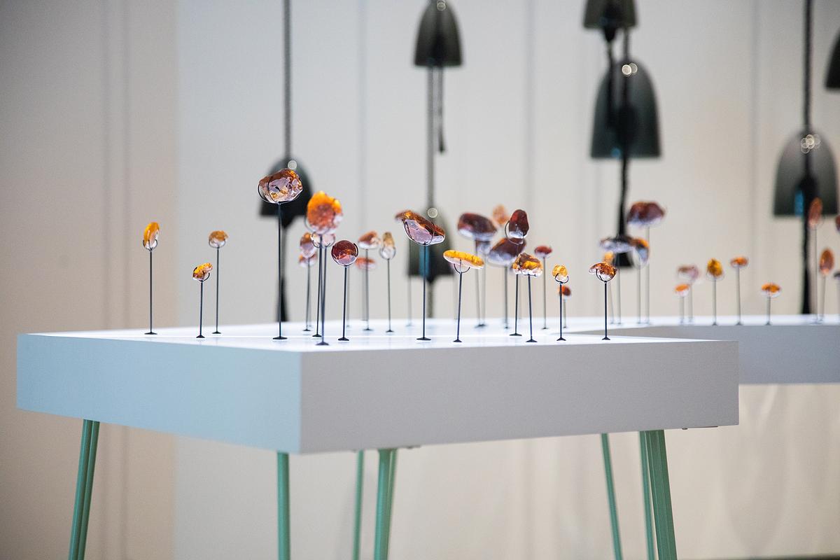 Amber Archive installed at the MSU Broad as part of "Jenny Kendler: The Long Goodbye"