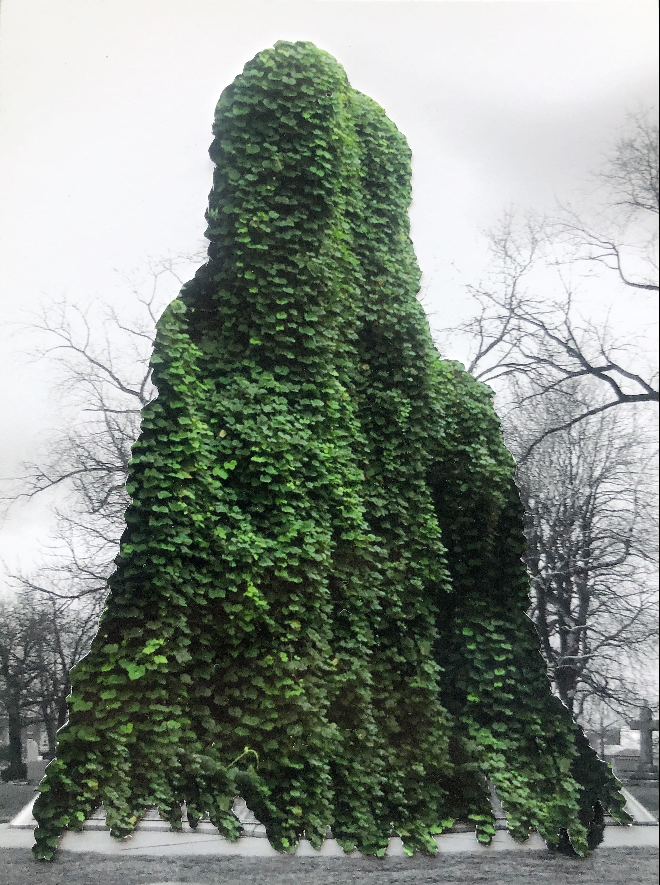Confederate Mound - Chicago, IL - 1895