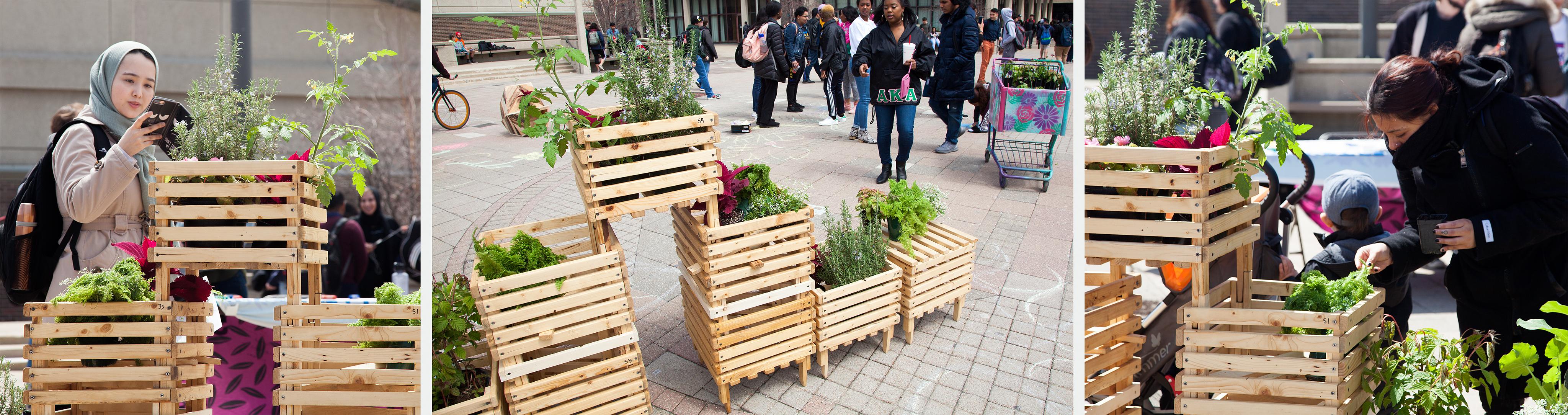 Garden for a Changing Climate at UIC