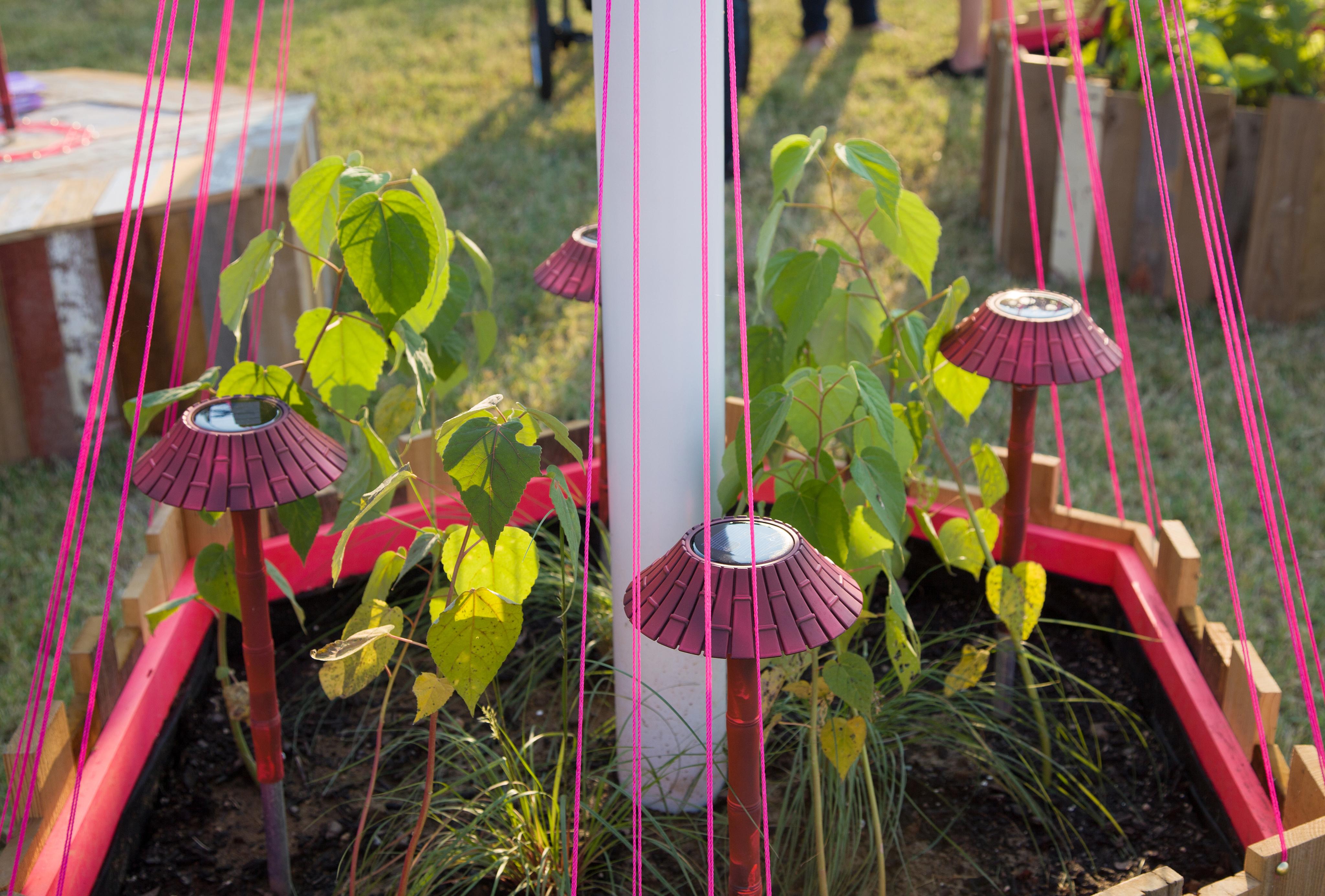 Field of Vision: A Garden for Others