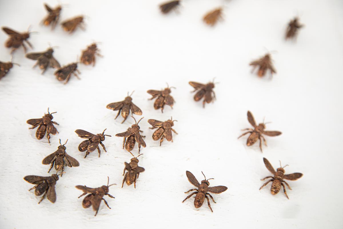 The Keeping of Bees (A Distributed Monument)