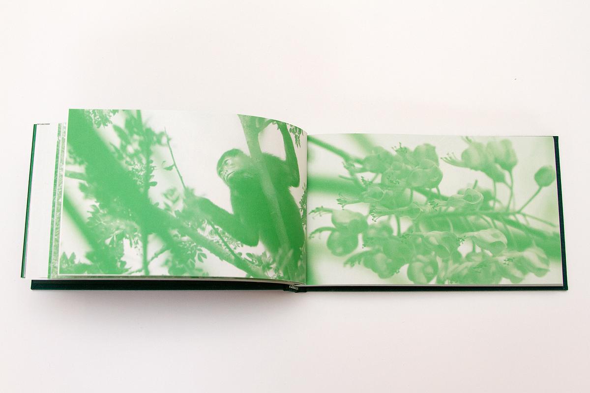 GREEN ZONES