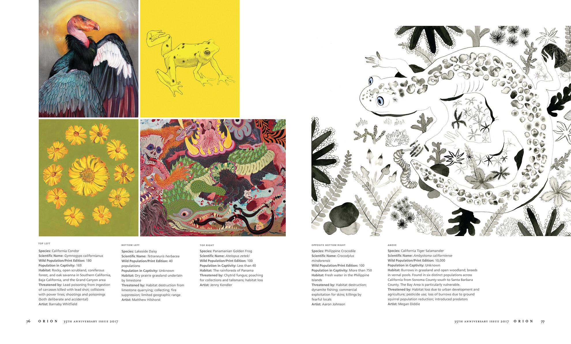 ESPP featured in the 35th Anniversary edition of Orion Magazine  Page 2 & 3