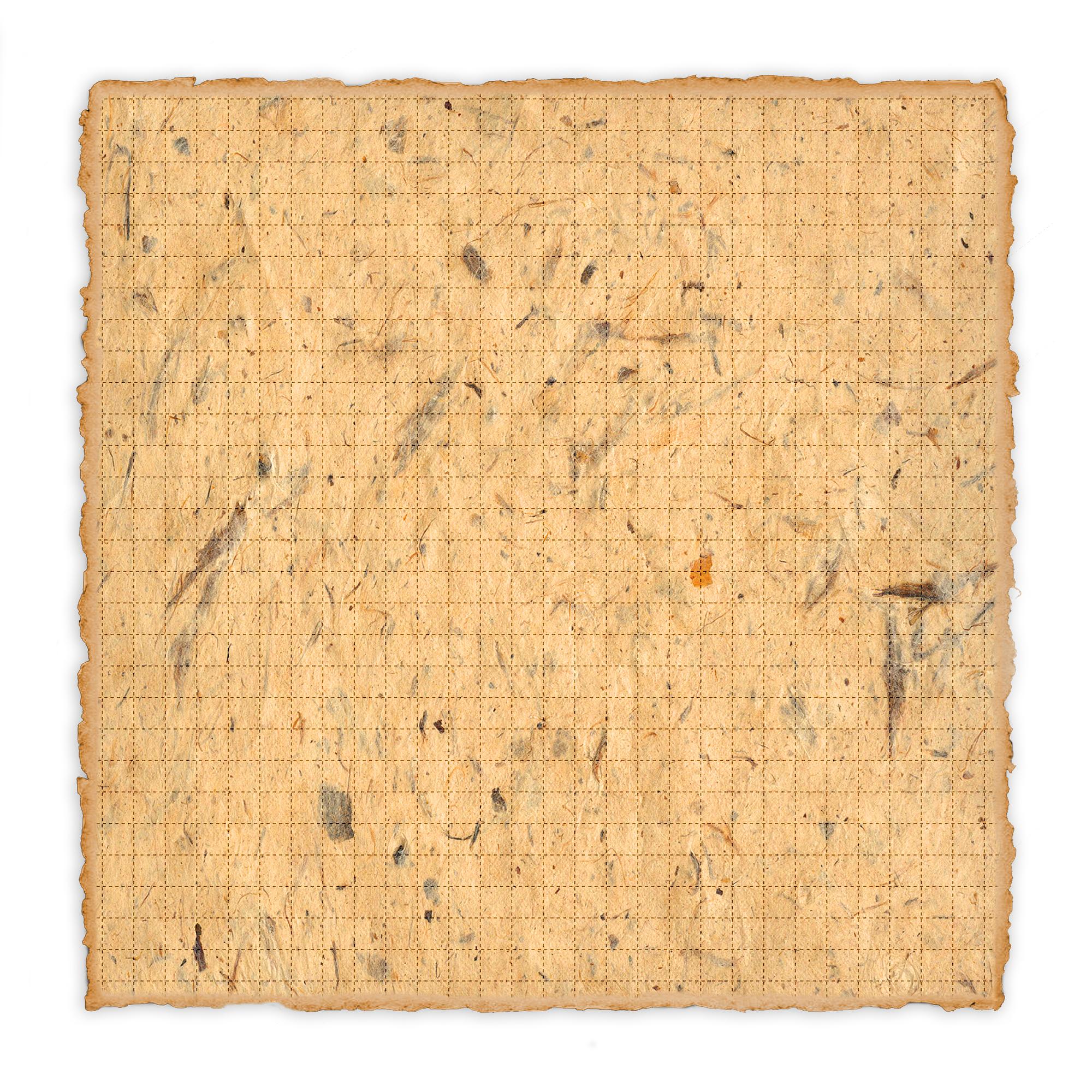 Wild Blotter #1